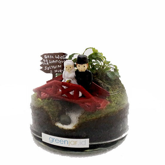 Custom design terrarium