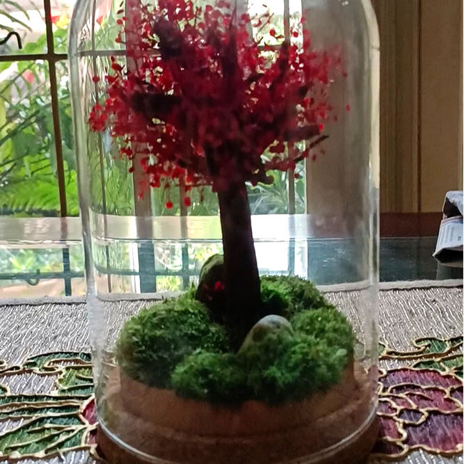 Preserved moss glass dome container