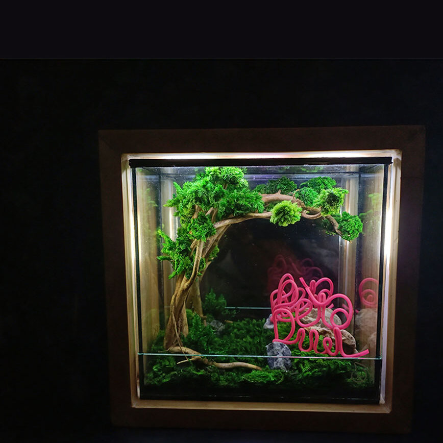 Preserved moss glass container