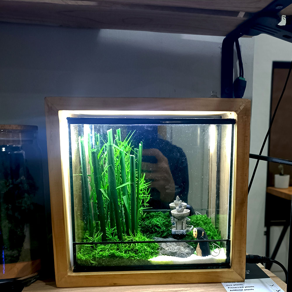 Preserved moss glass container
