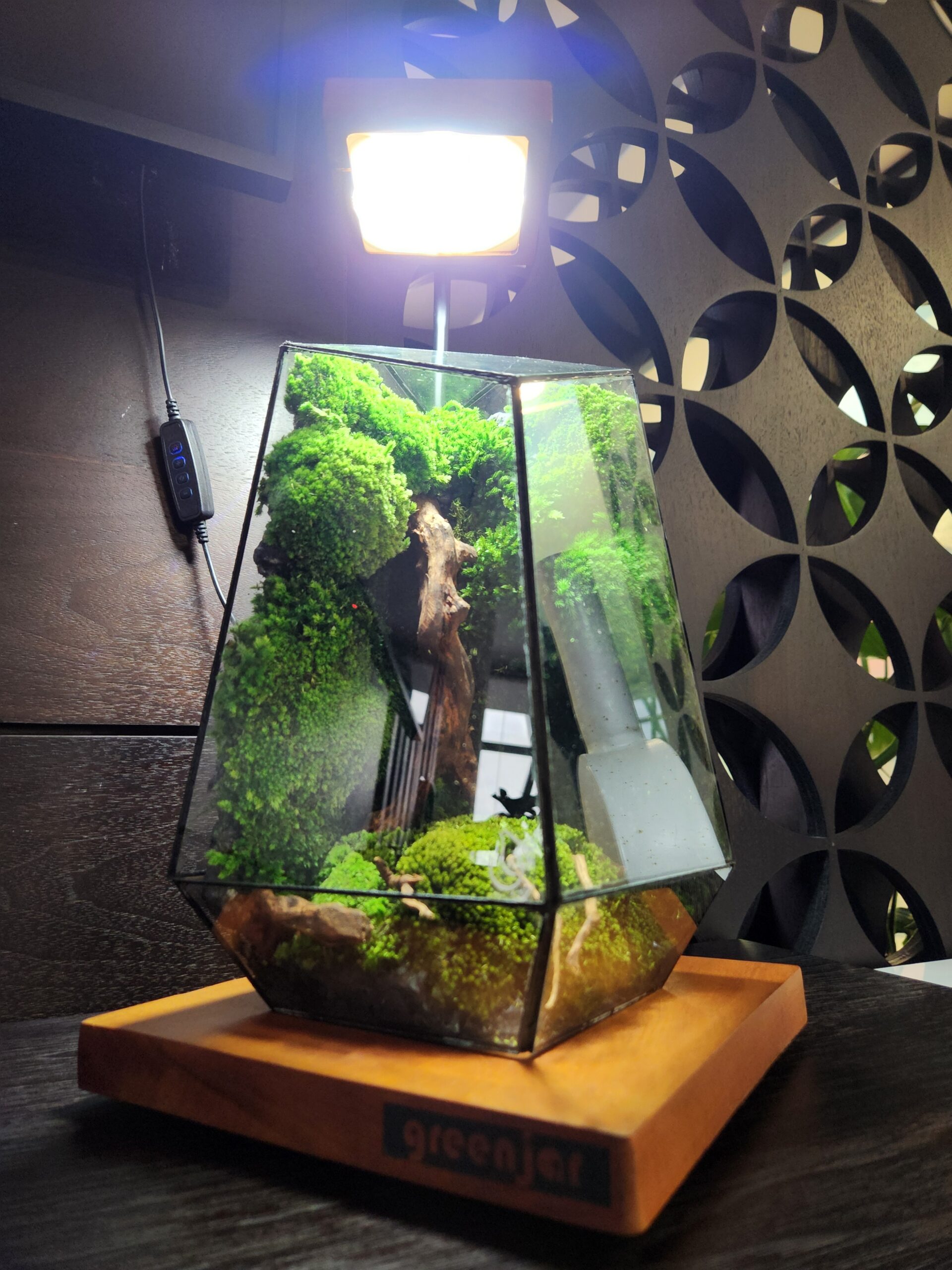 Preserved Moss
