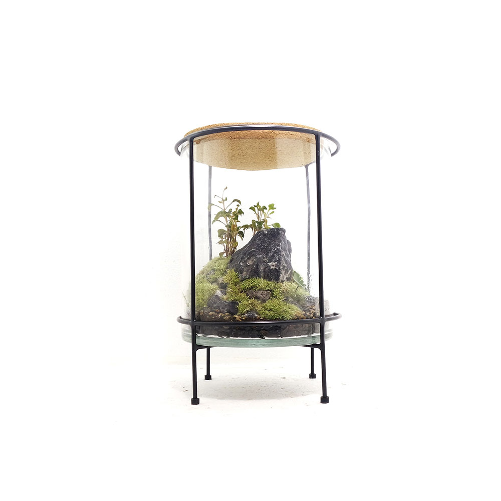 Cork Lid Jar Closed Terrarium custom