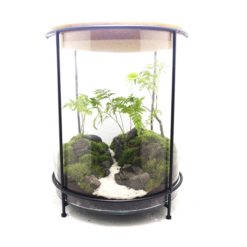 Cork Lid Jar Closed Terrarium