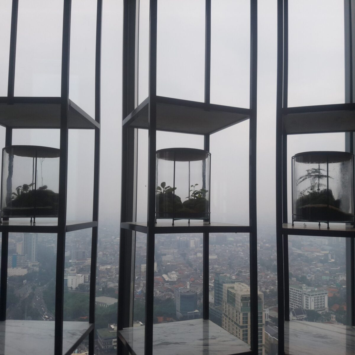 Terrarium interior decoration at Park Hyatt Jakarta