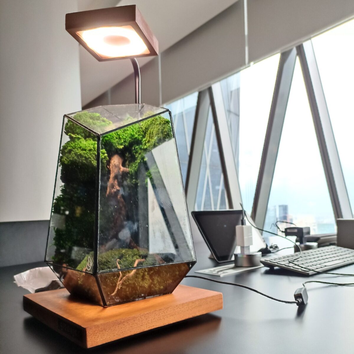 Stunning terrarium office desk made with preserved moss