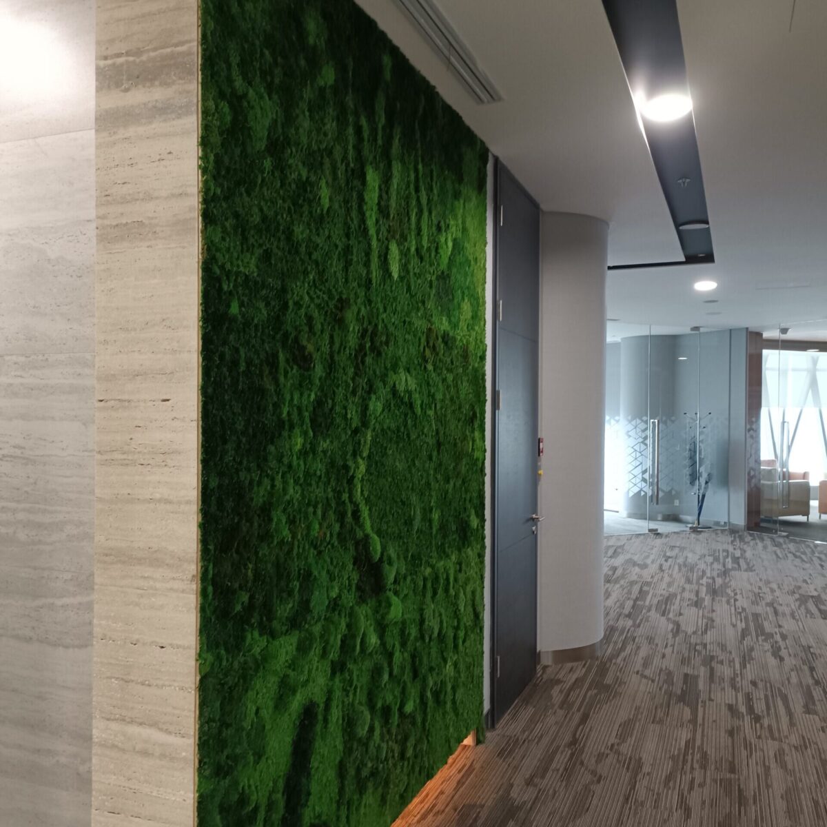 Stunning mosswall for office space made with preserved moss