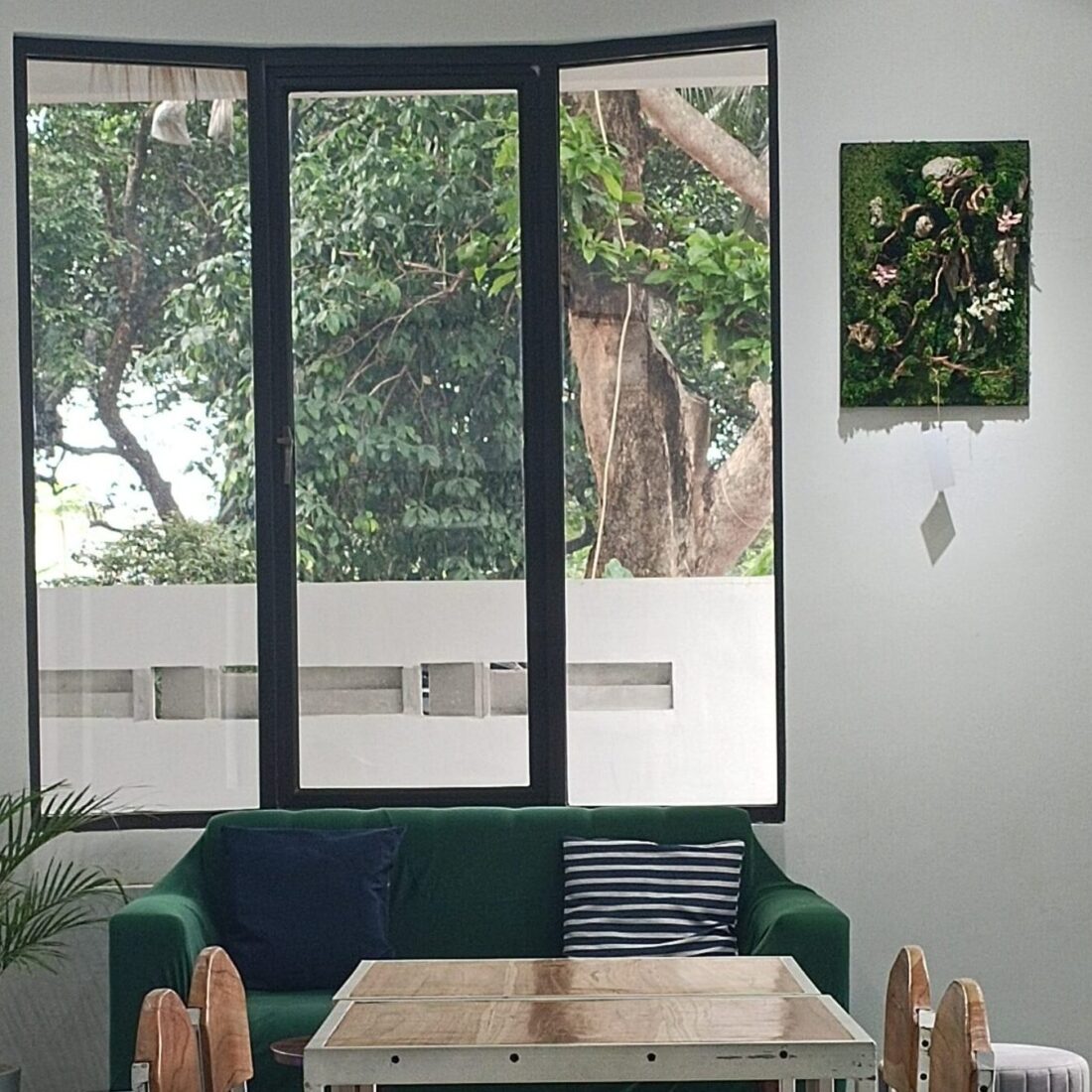Green decoration at ATATU Kopi
