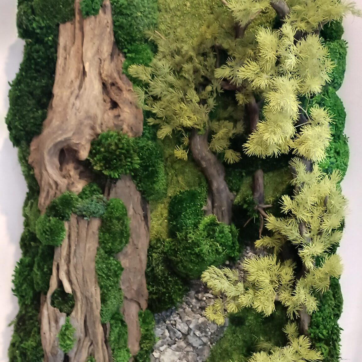 Medium preserved moss frame